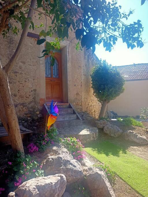 Le Clos Du Pin Thezan-les-Beziers Exteriér fotografie